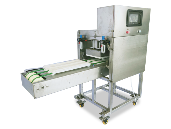 Chicken fillet tamping machine